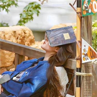 绝望主妇第六季